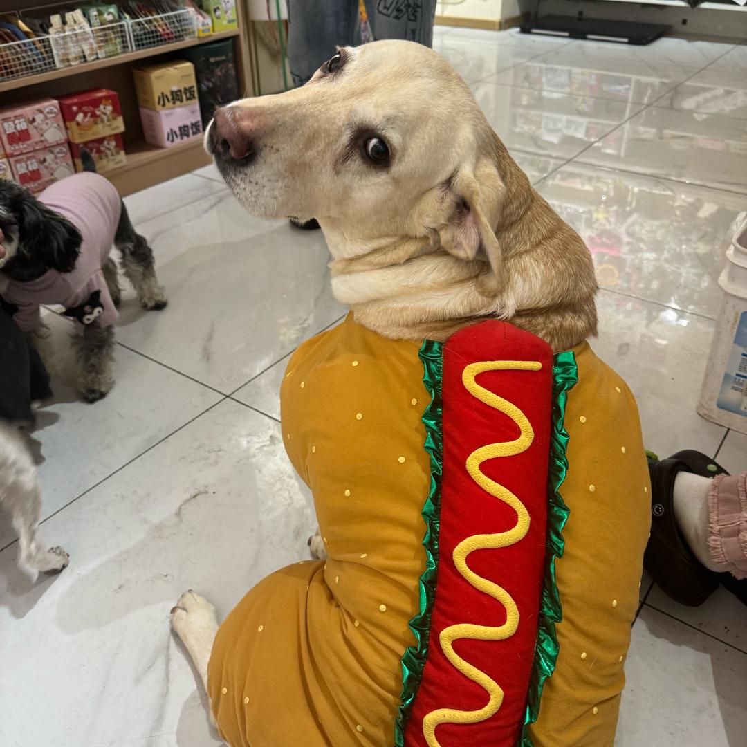 喵孩儿