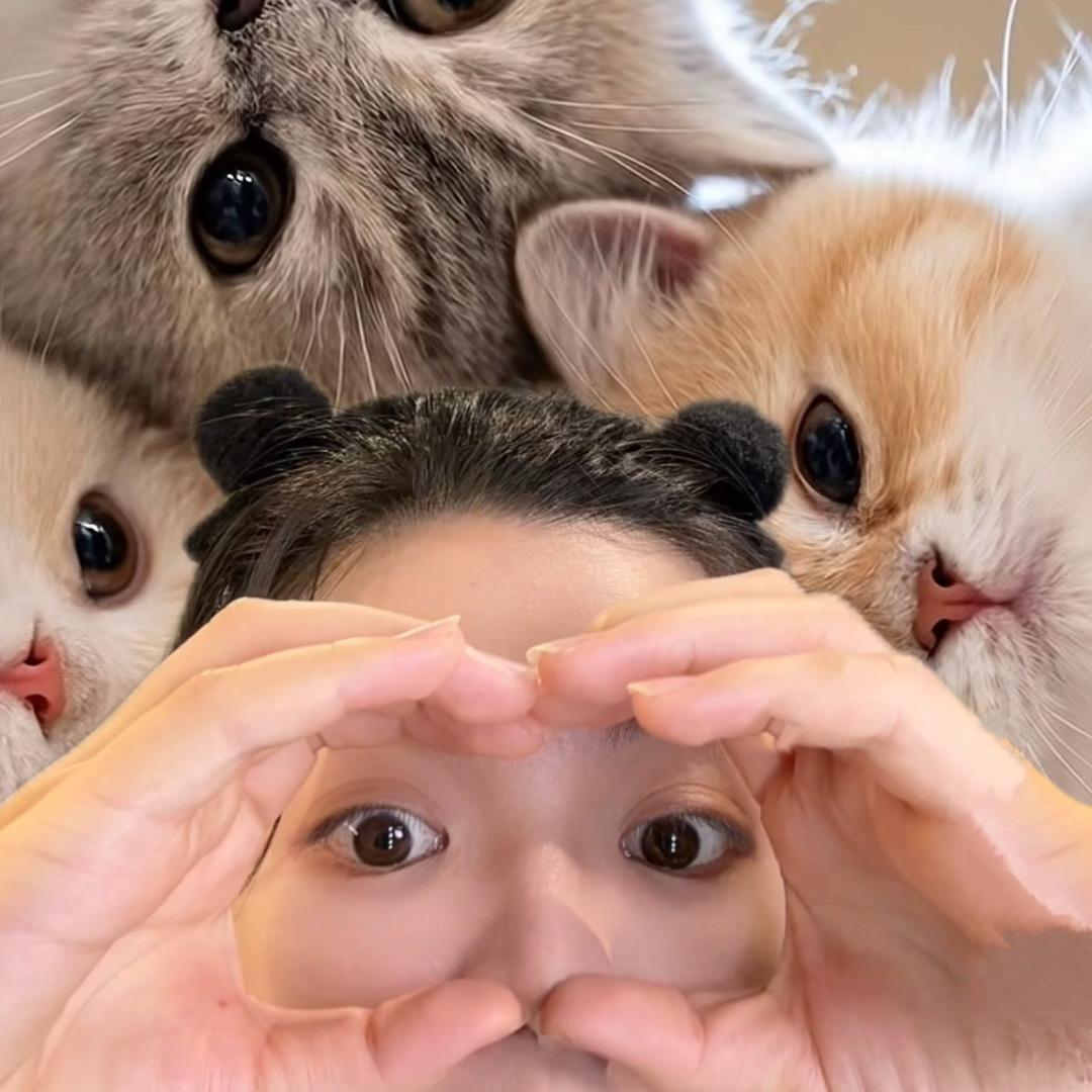 n陶子💚