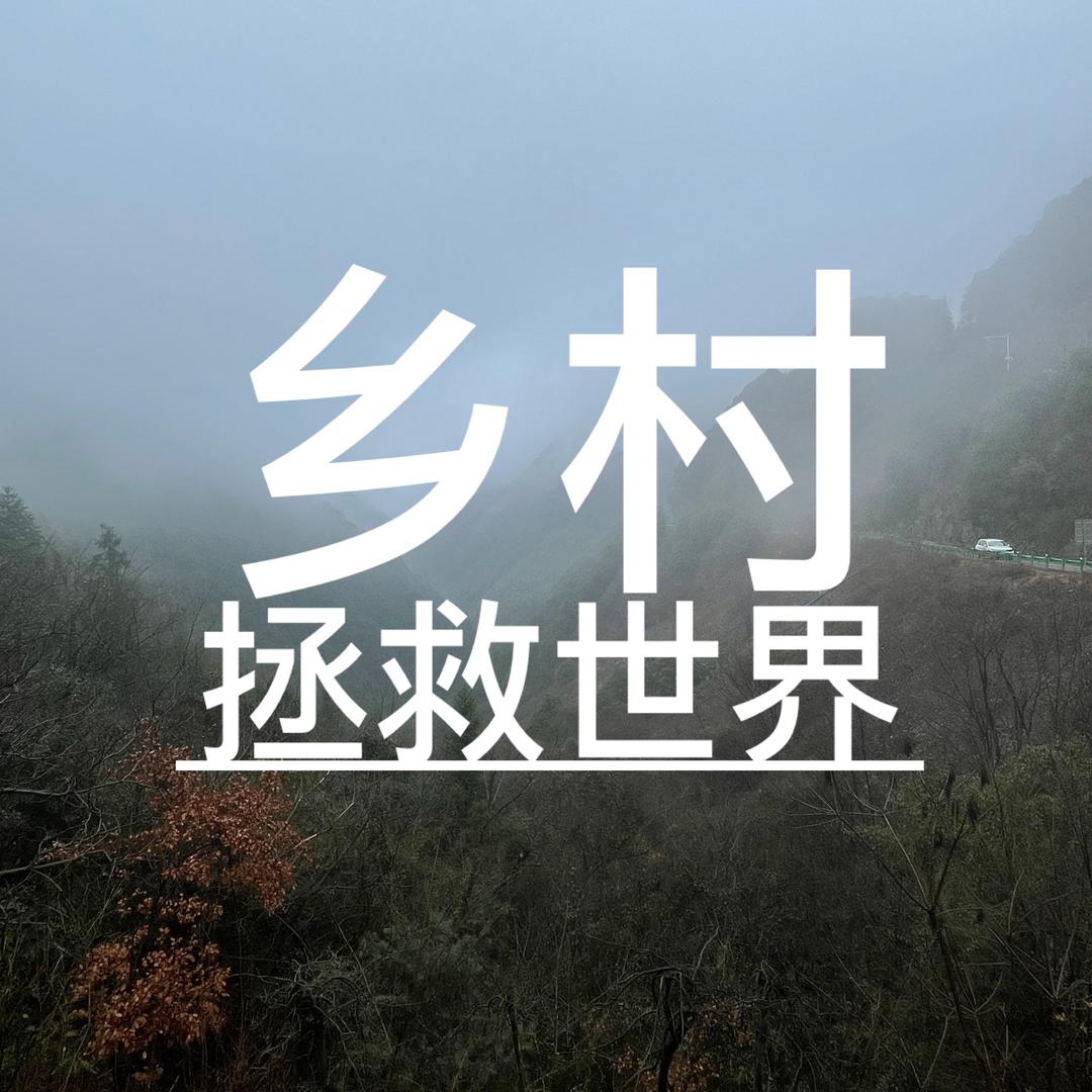 乡村拯救世界