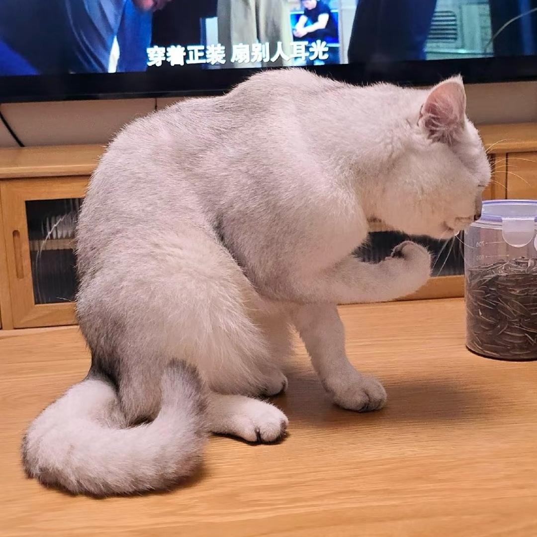 小末末很末的名字原来可以这么长嘻嘻嘻🥕