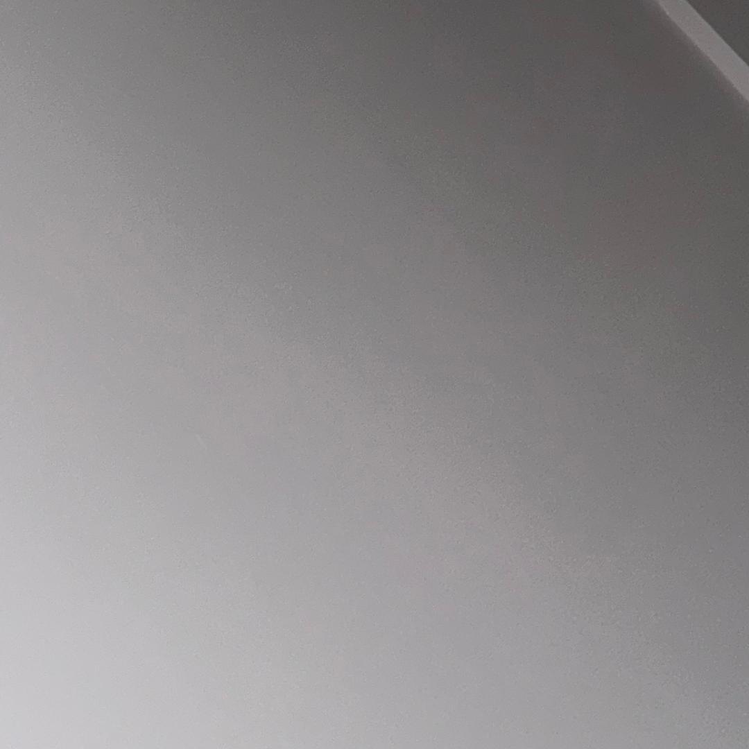 .   安静