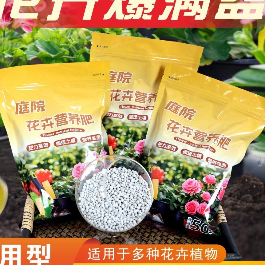 爱养花的小辛
