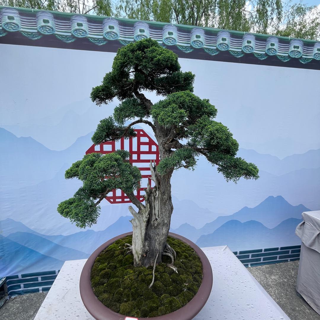 大方房产｜秒变现