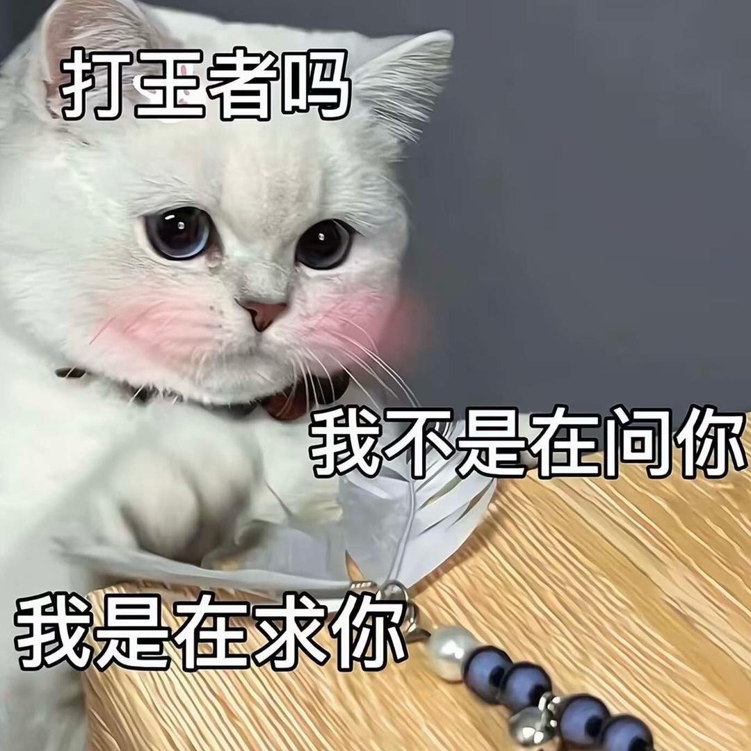 你小汁好样的
