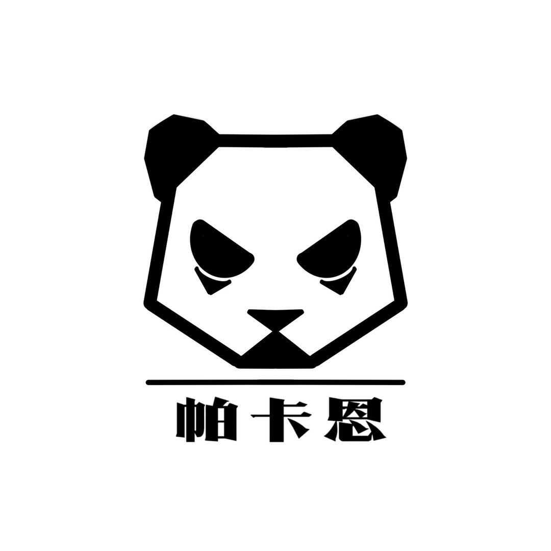 帕卡恩数码旗舰店