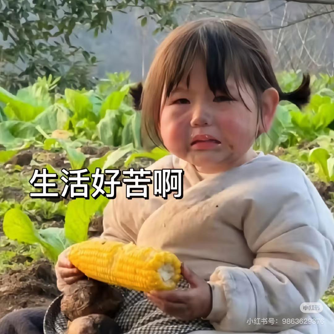 拾柒🧃