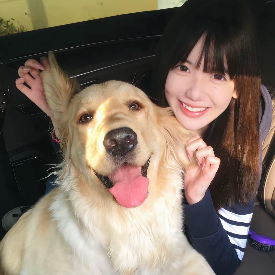 银杏叶