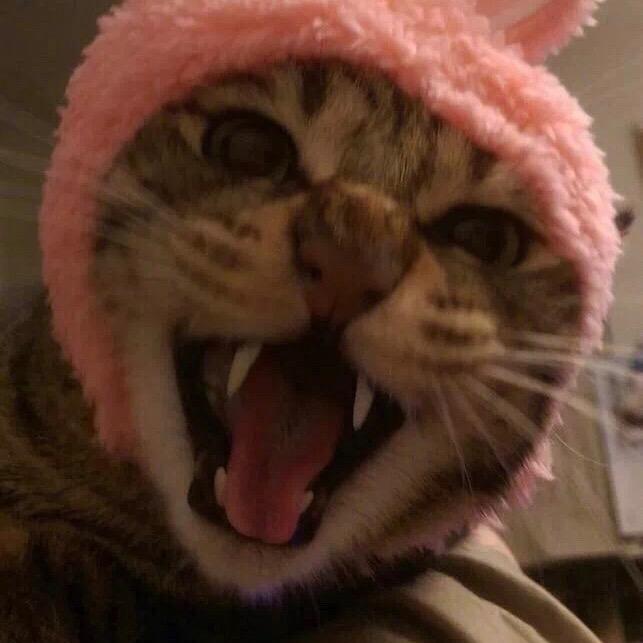 旧梦重温