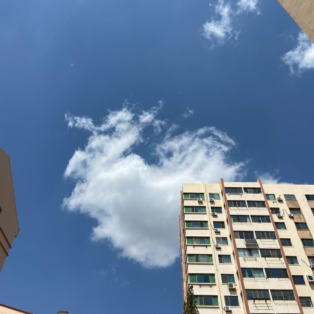 满脑袋标准答案
