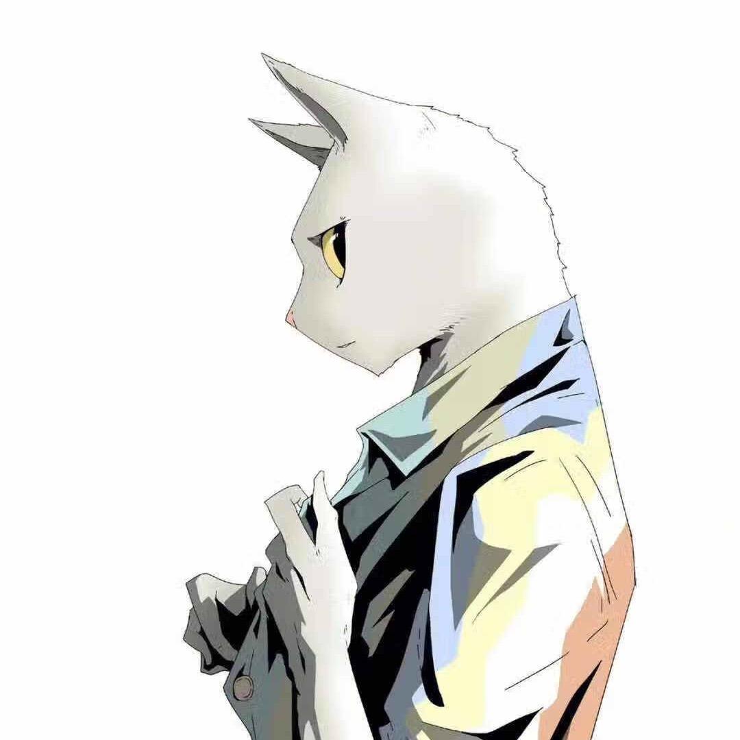白视界