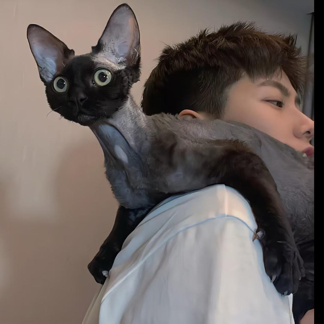 xxxj笨