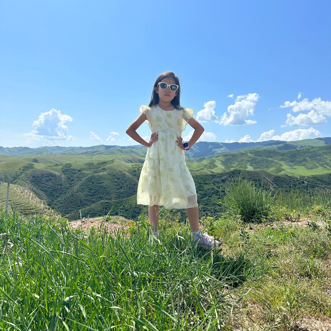 杨兰