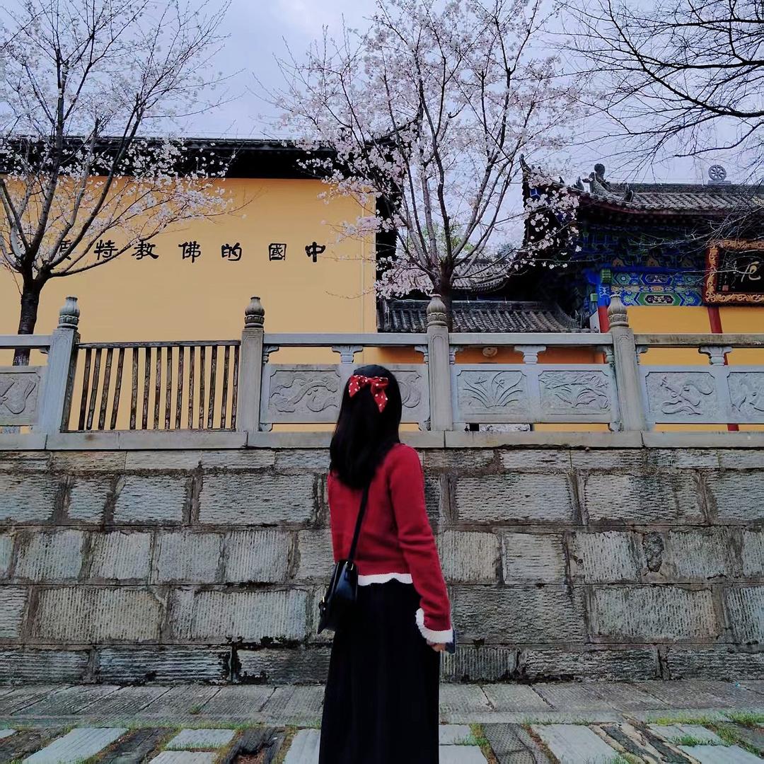 聪明的油橄榄女士～
