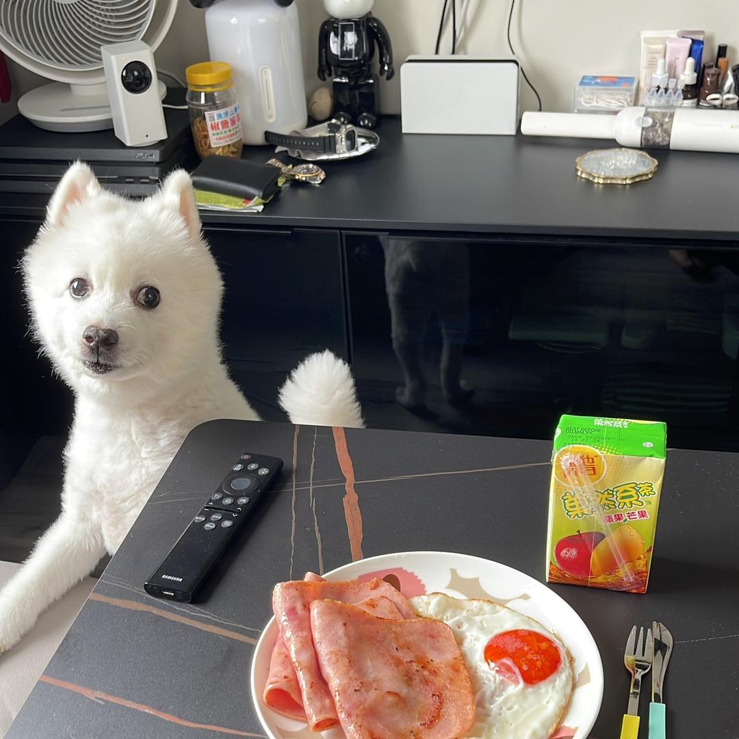 卓ωιиg
