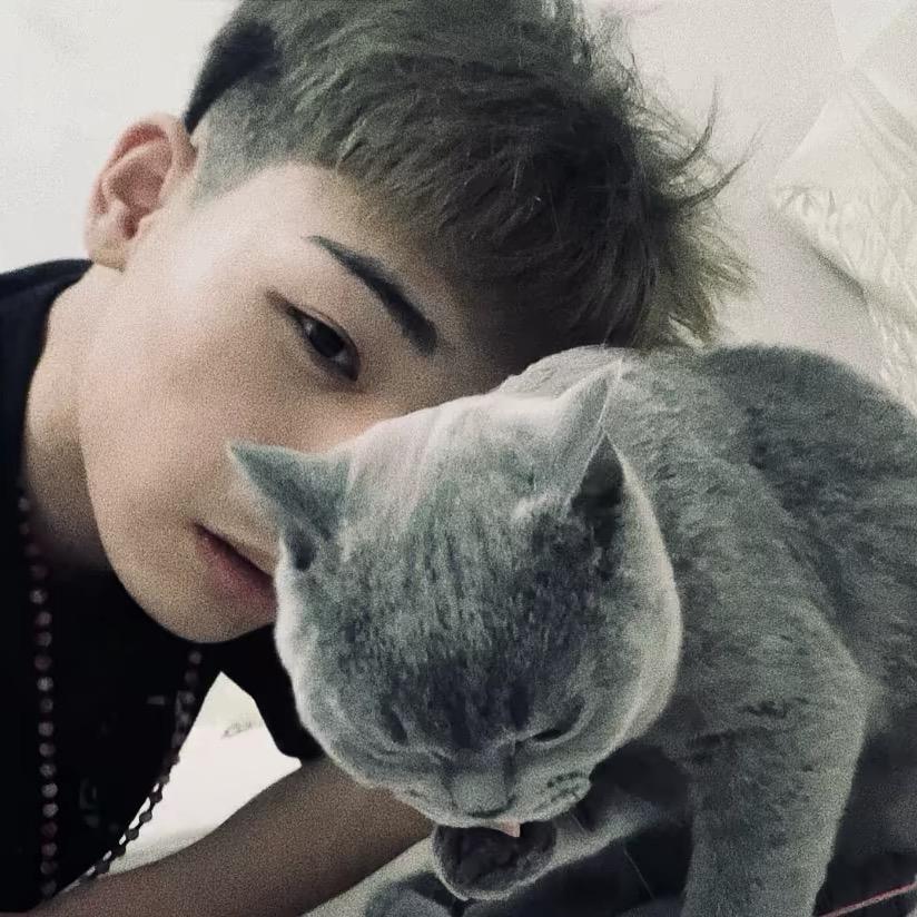 攒钱买小Q的小鑫