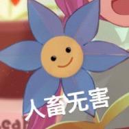 没事笑笑