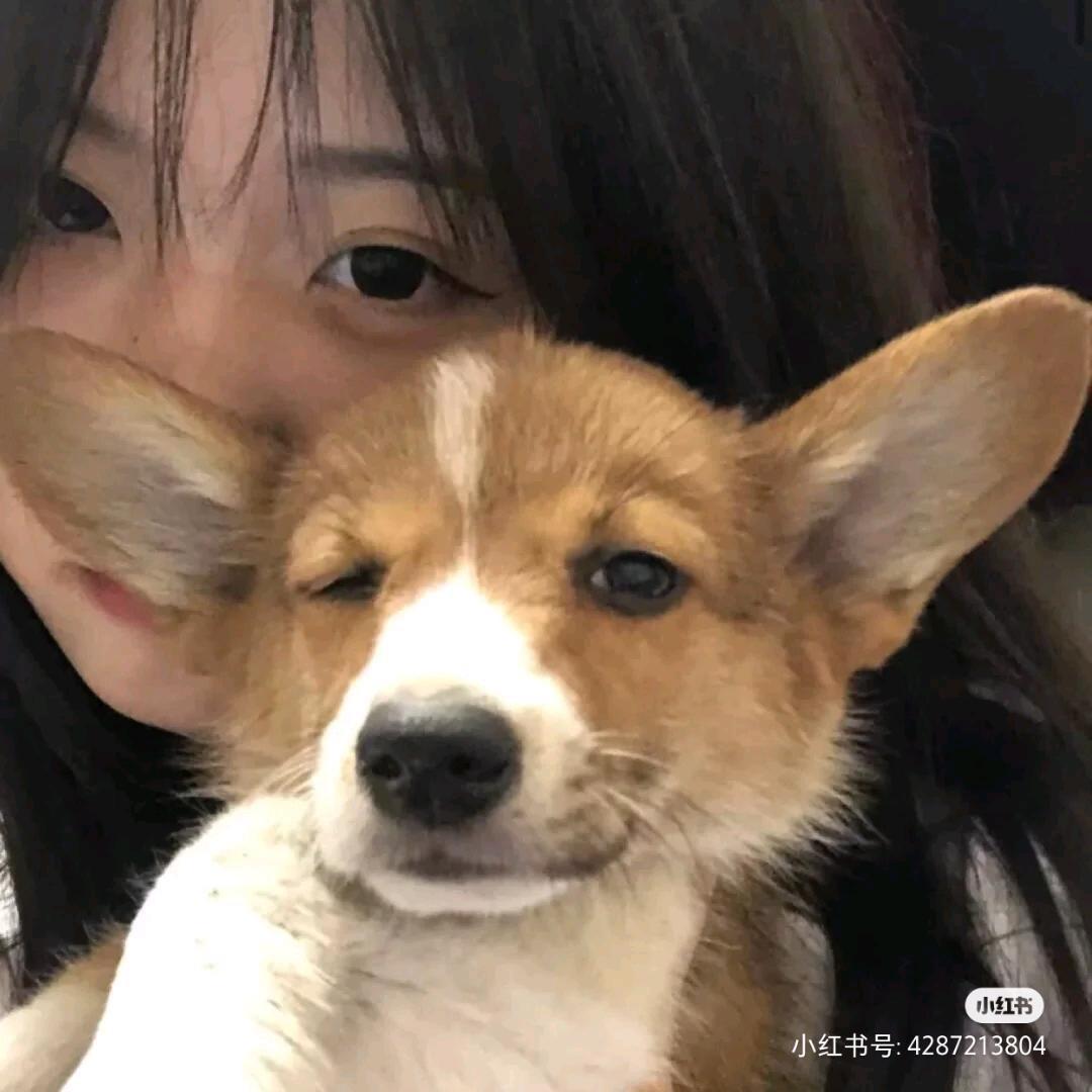 悲伤大棒骨