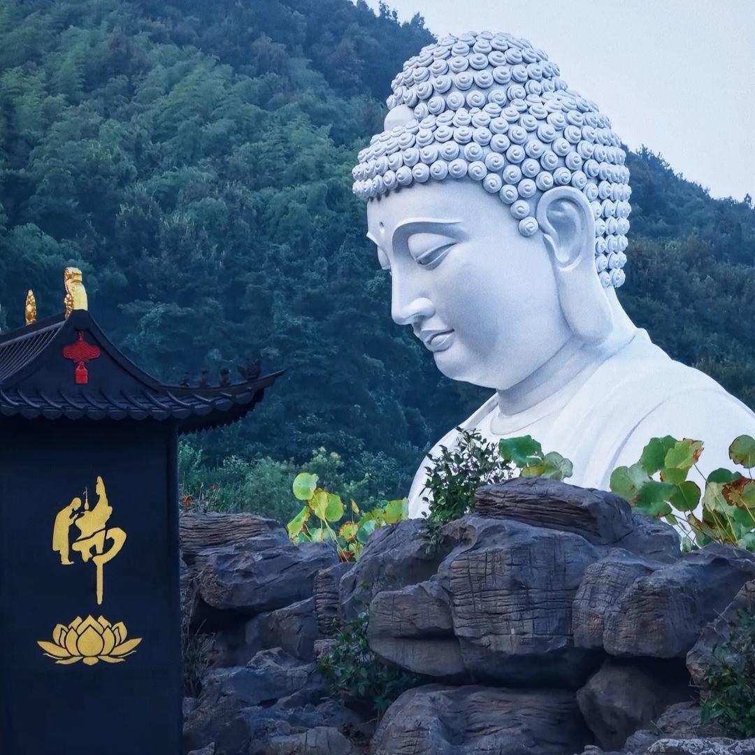 这个年纪