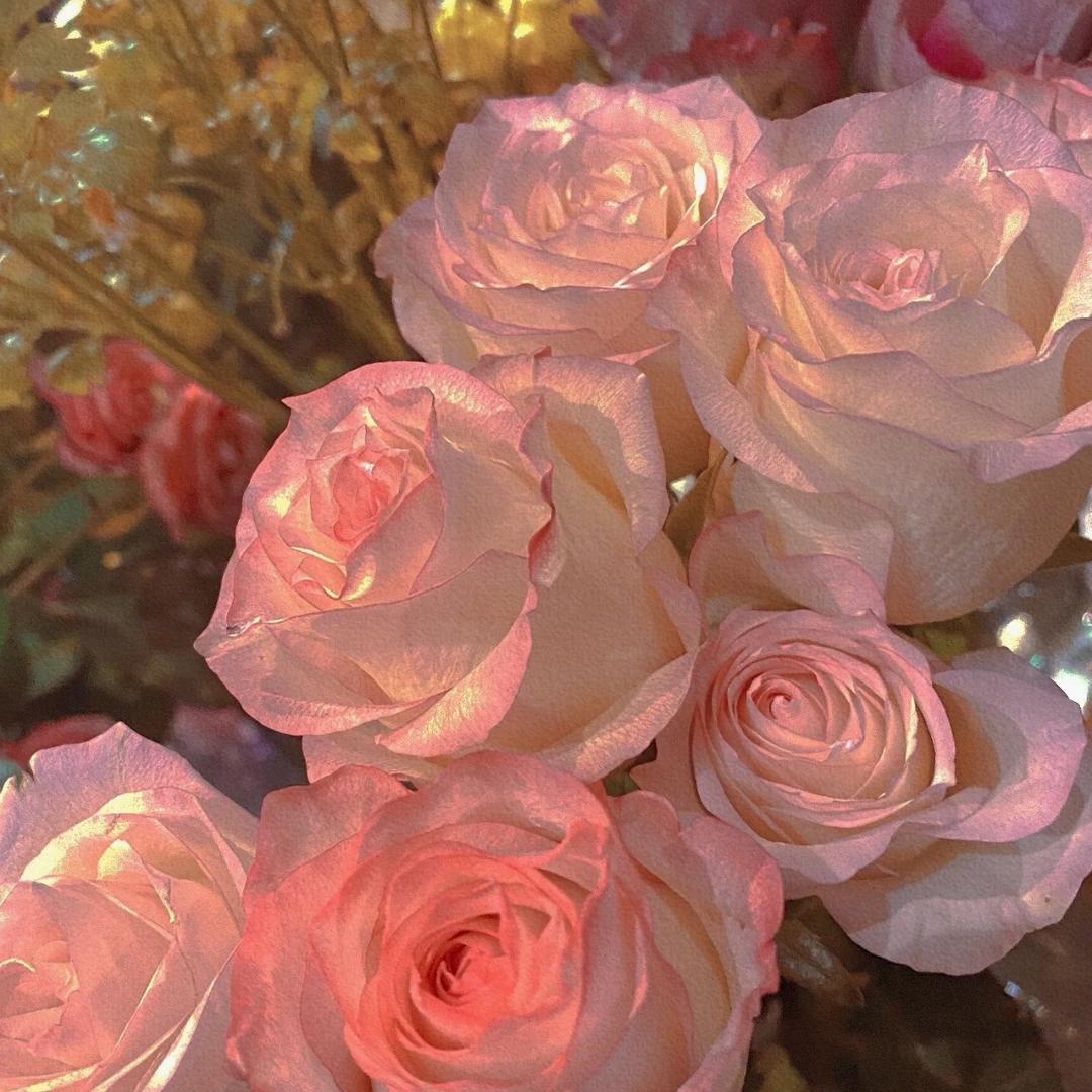 @豆蔻十八（搞装修版）