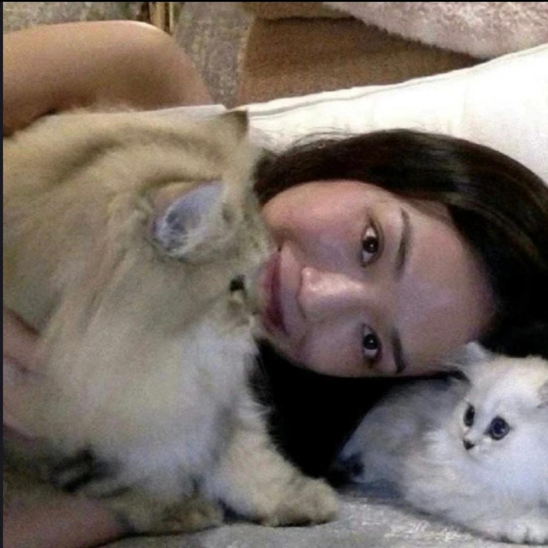 苦与橙🍋‍🟩