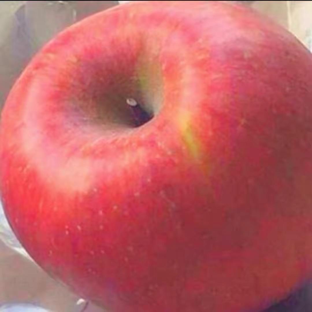 抑郁的苹果