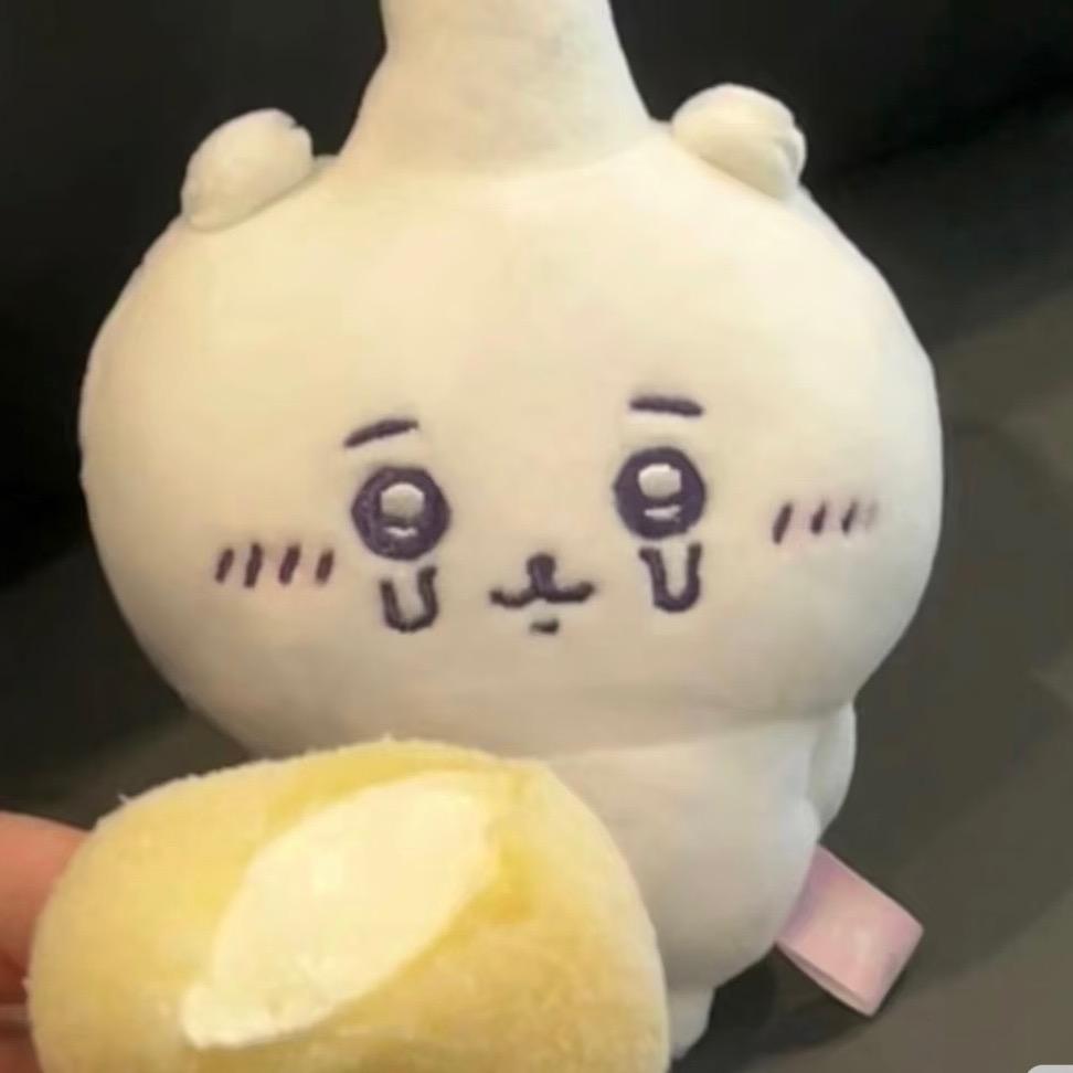 Rs罗