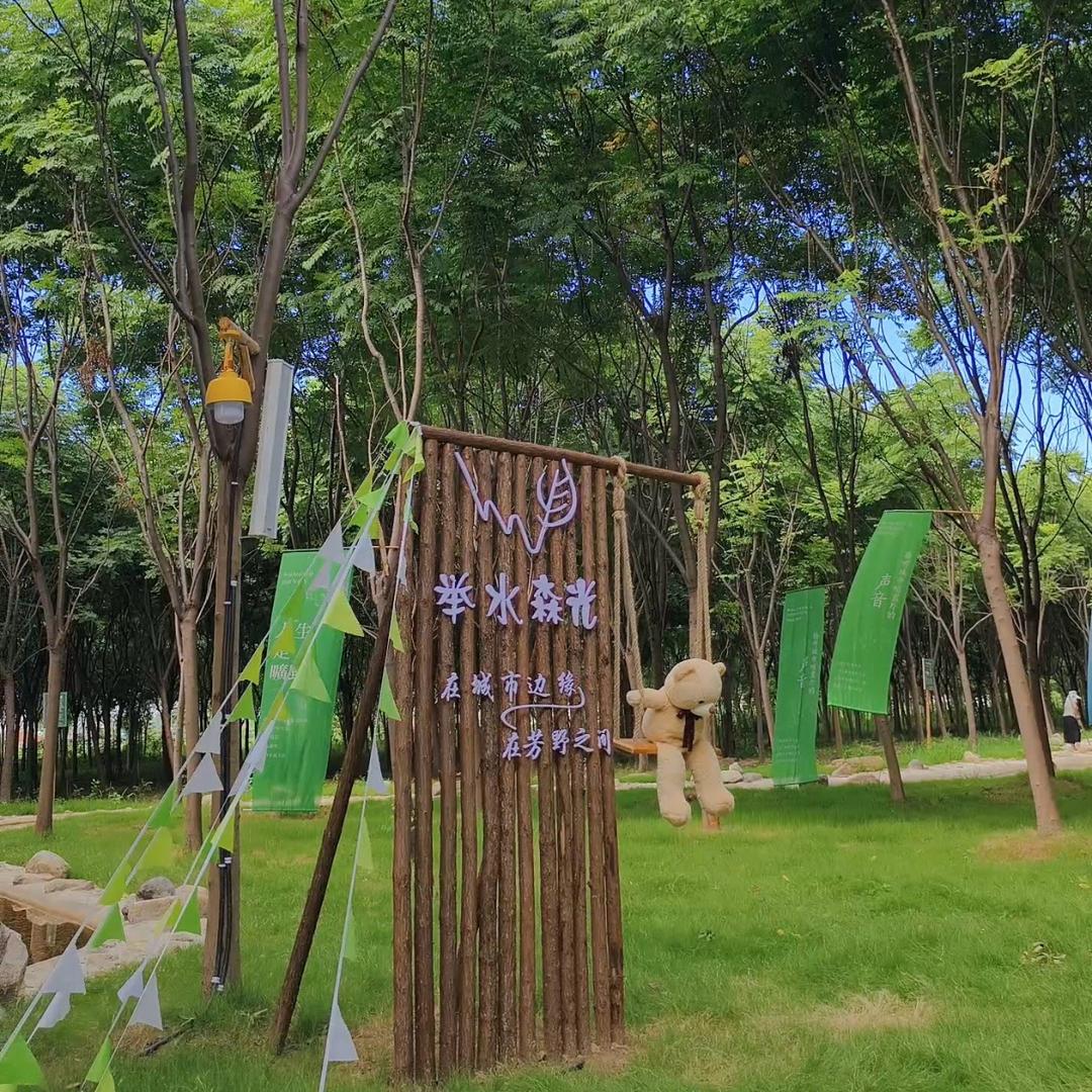 举水森光-野营地