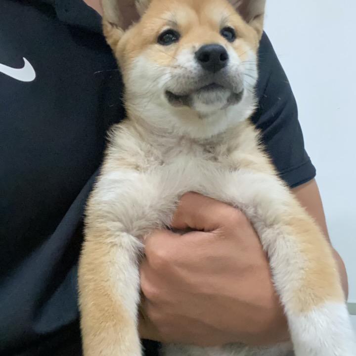 一切都会过去的