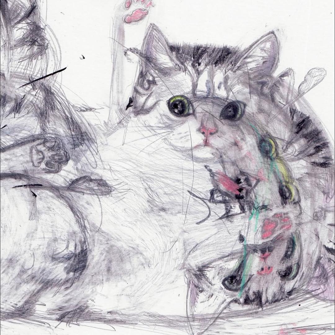 ChauChauisss