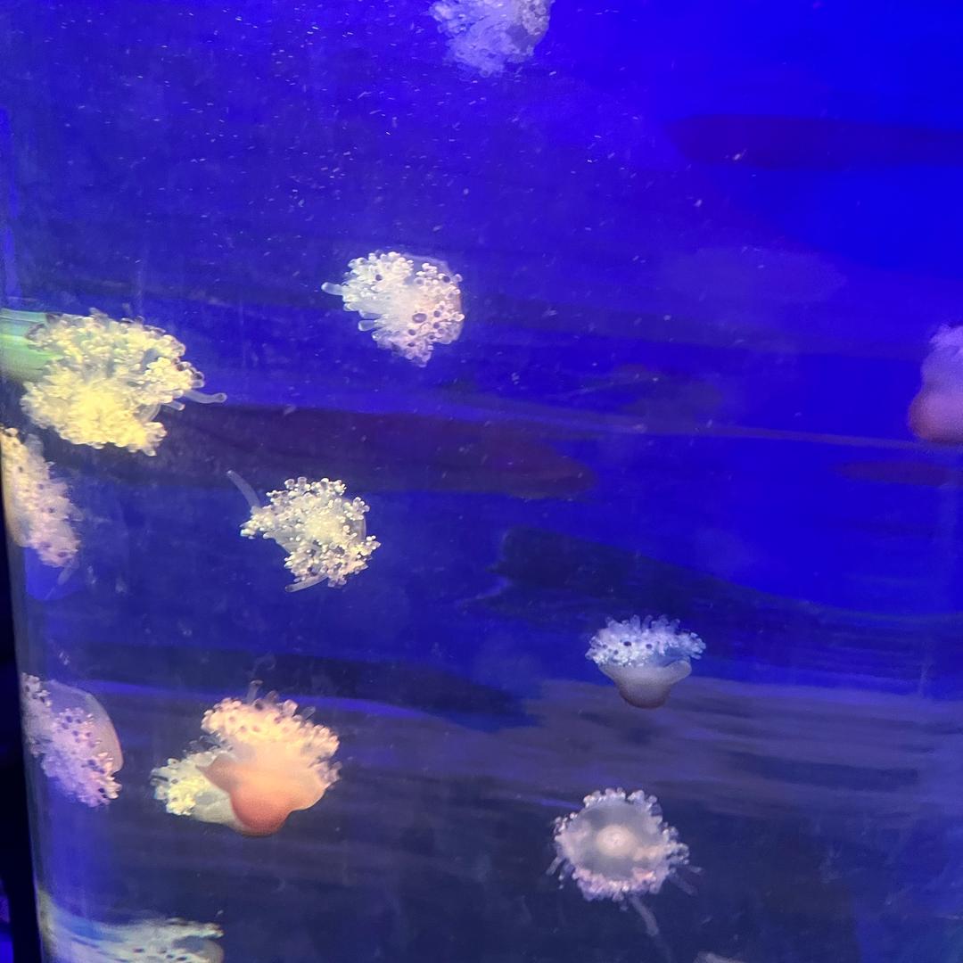 极简