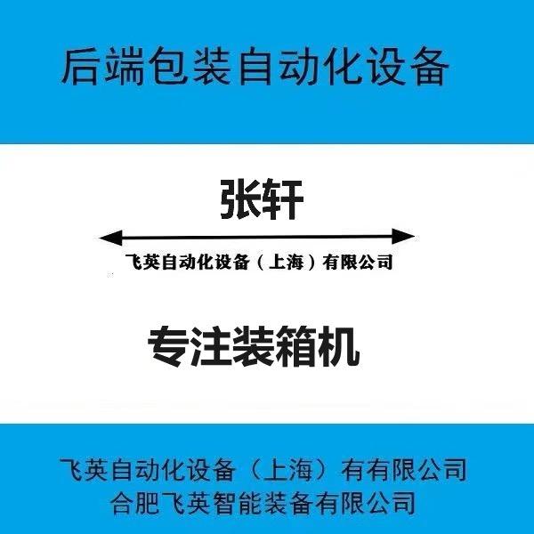飞英智能-装箱机源头厂家