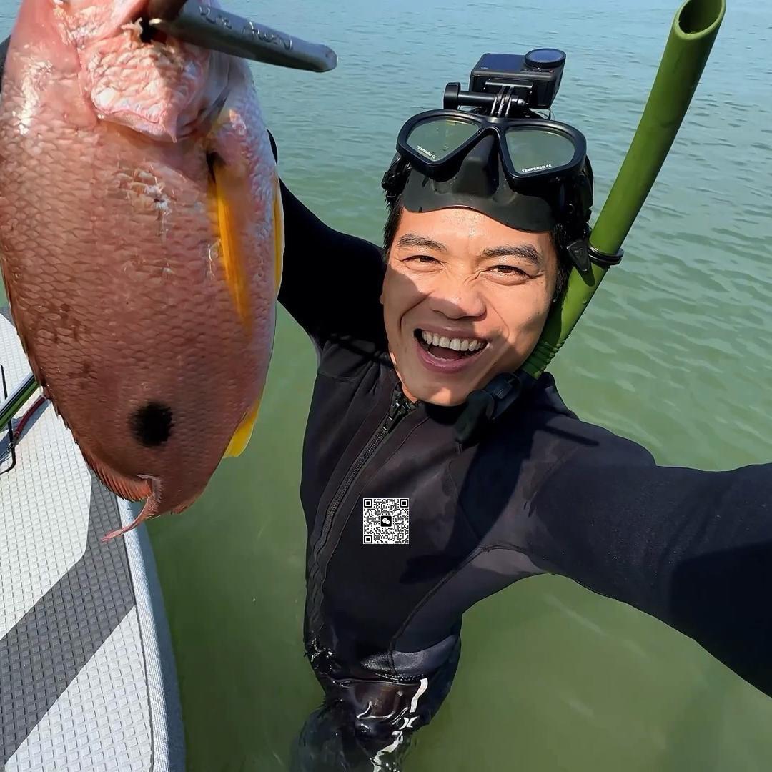 小马哥探海