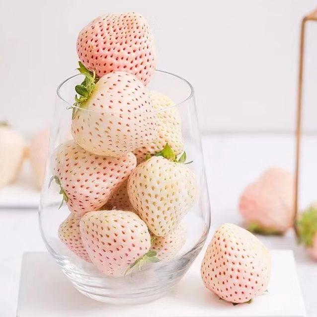 生鲜代发