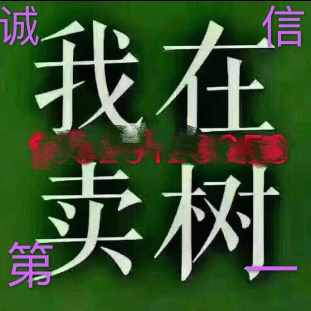 天下第一盆