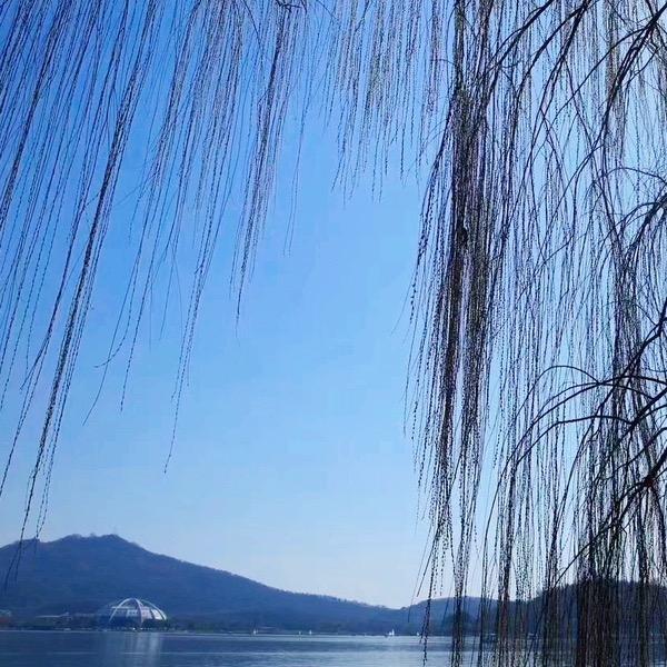 空谷幽兰-