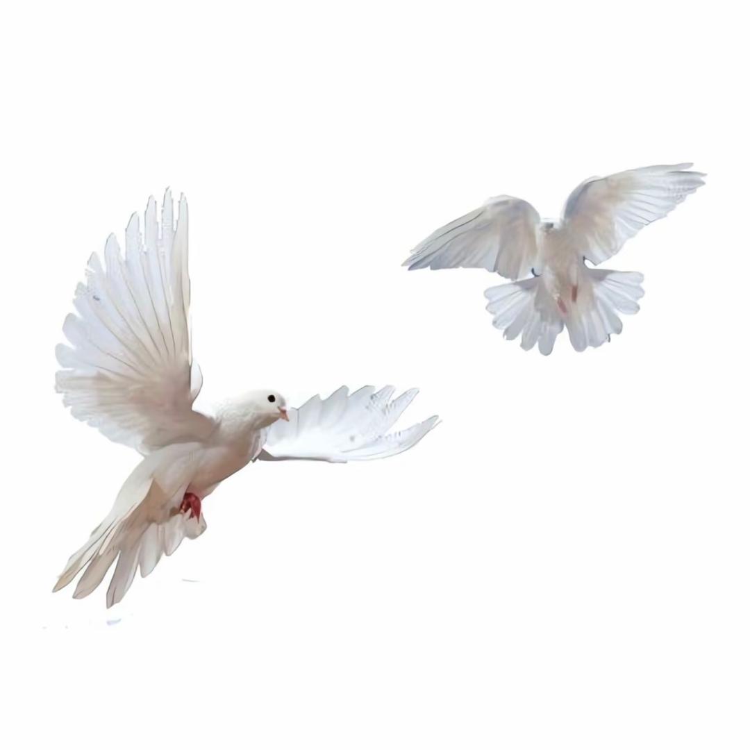 1324