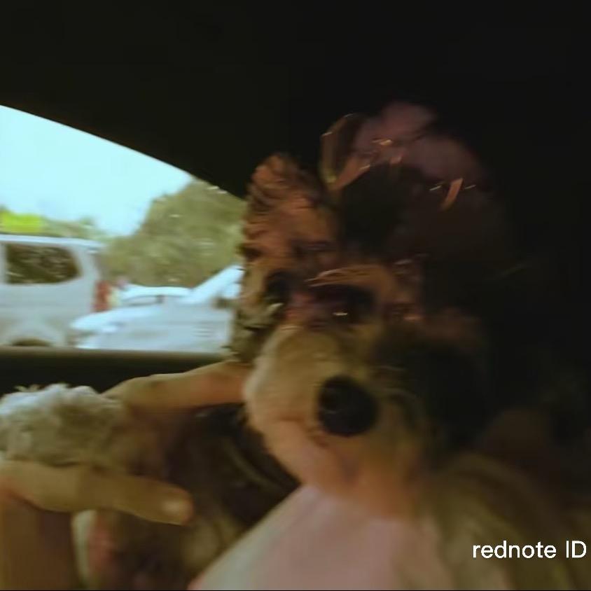 饥饿感（减肥版）