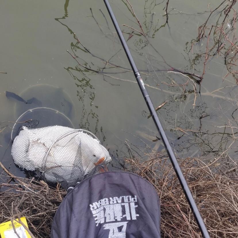 🏝🌈派大星🏖️