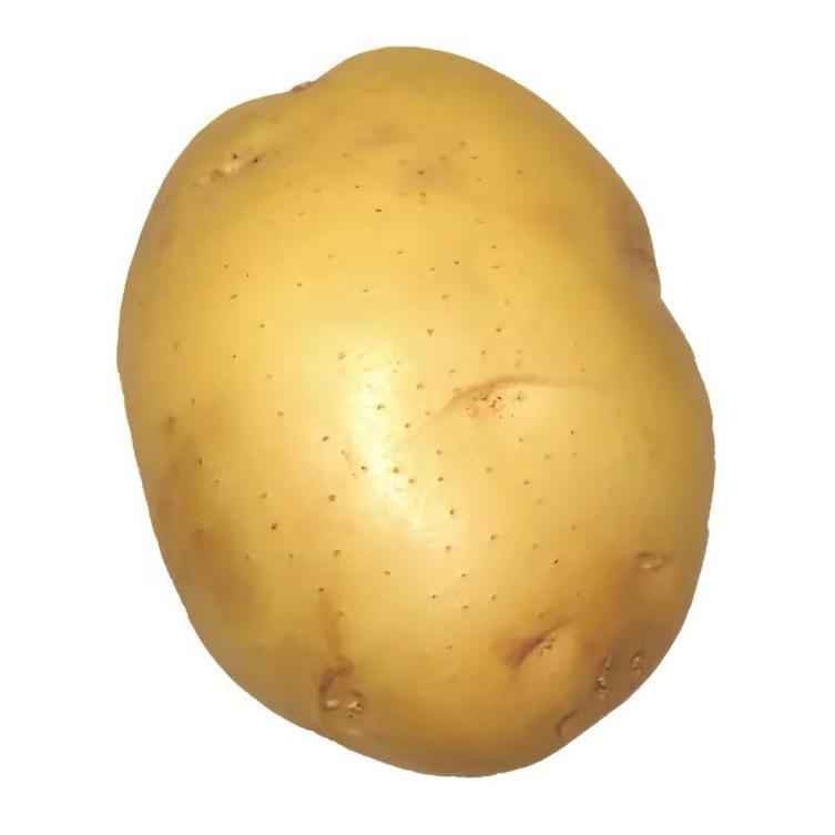 小周小周🌈💨