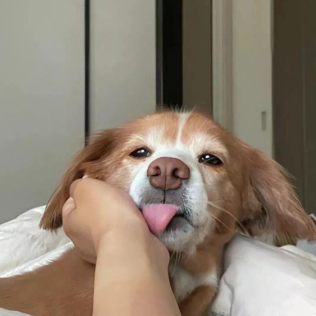 熊哥很OK