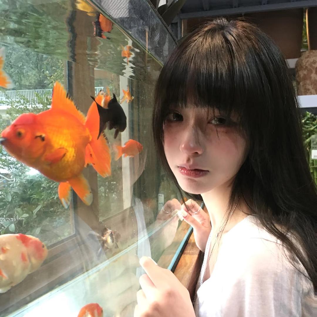 妙趣衣橱
