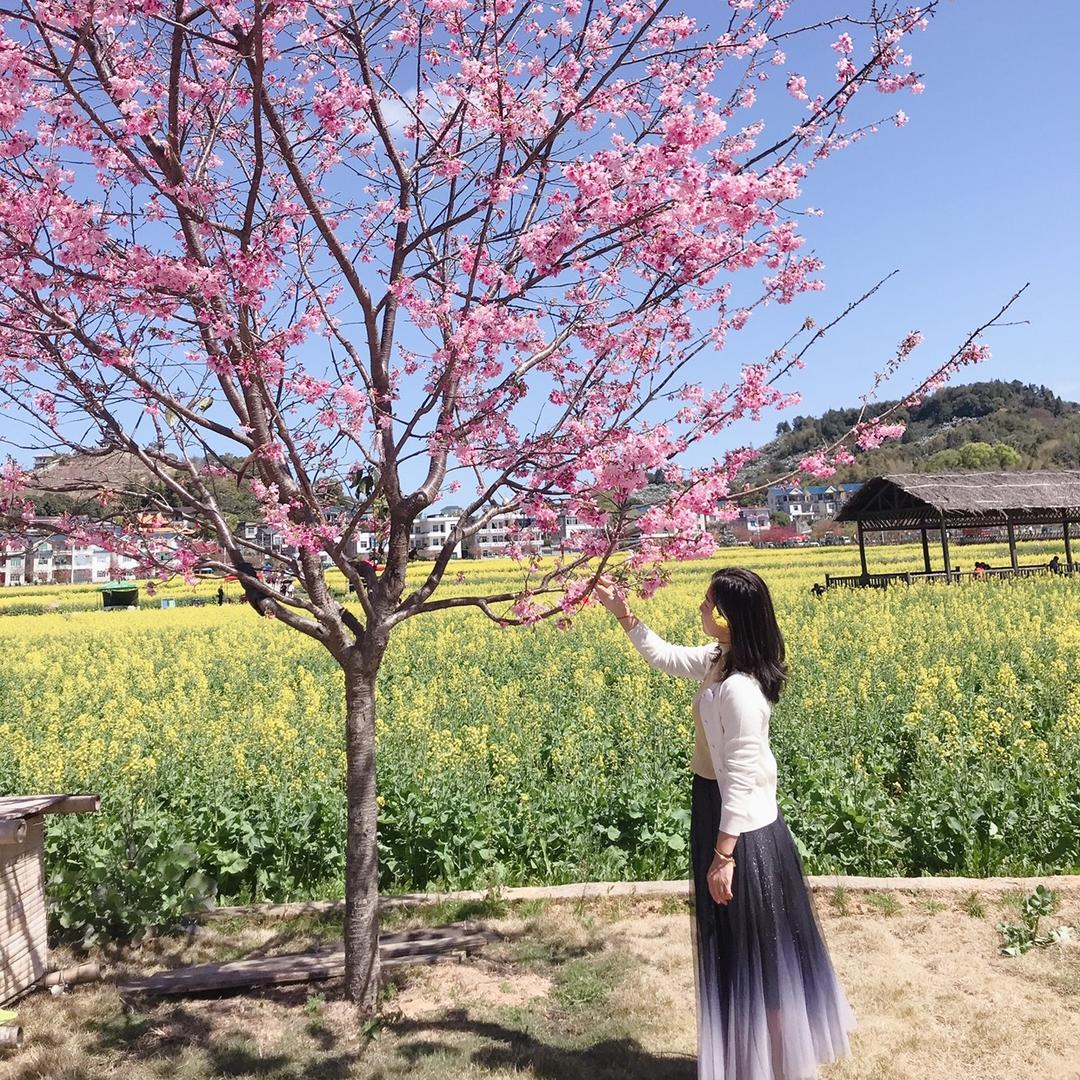 欣♥向龙