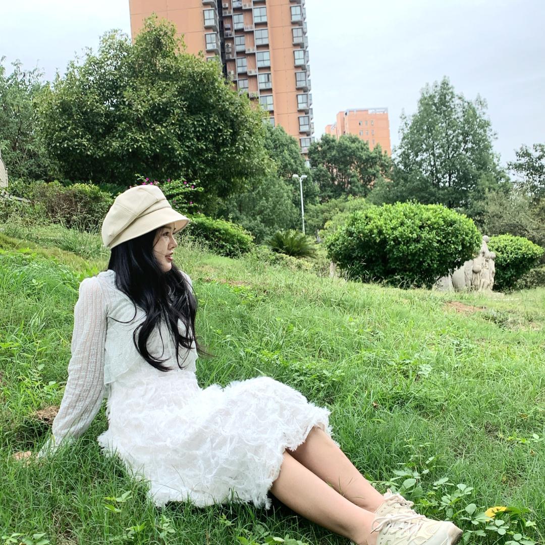 🍀  🌴  菊
