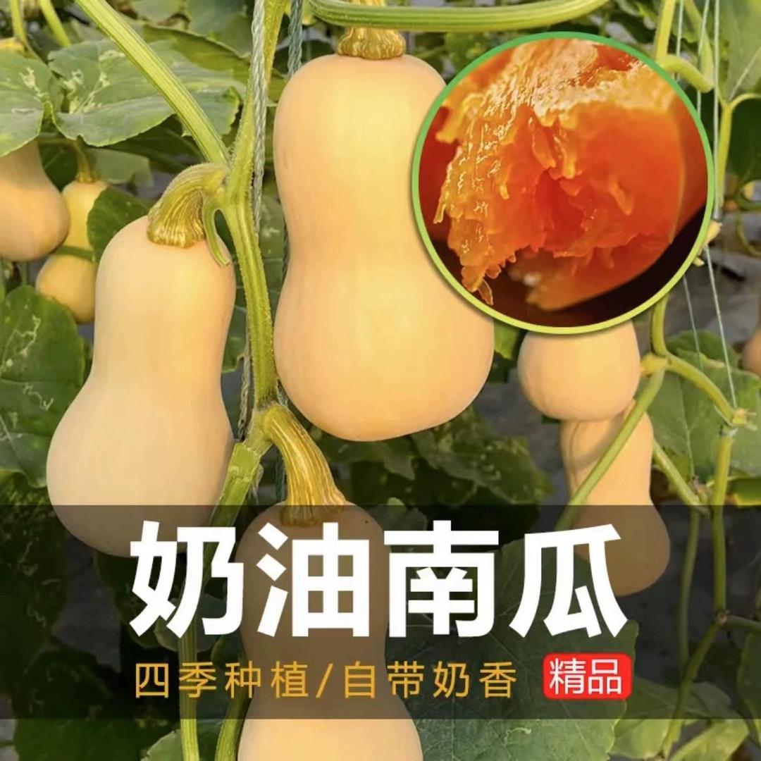 果通基地