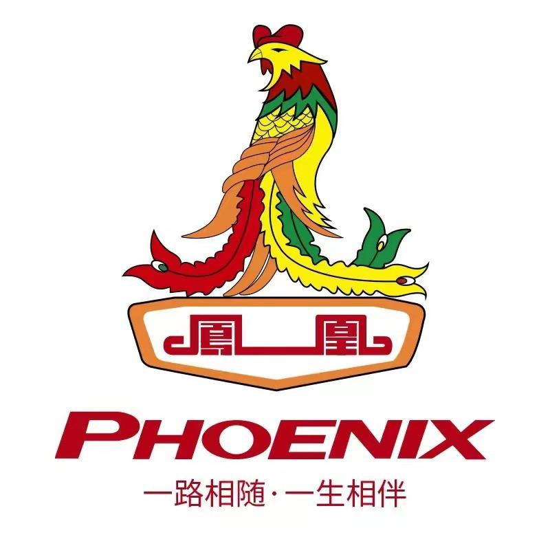 凤凰自行车工厂直播间
