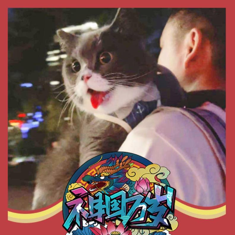 健絘鎯_