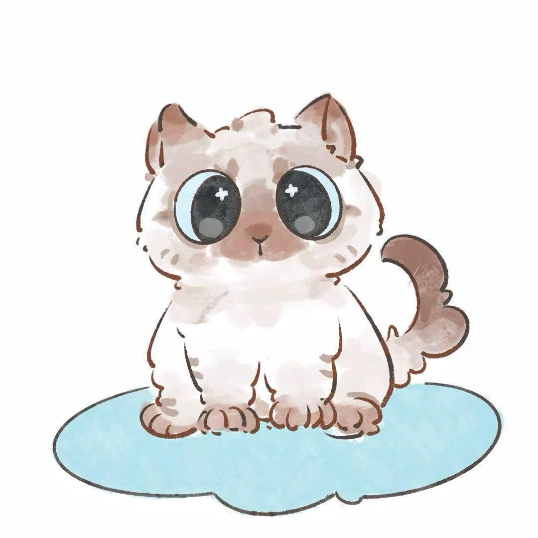橘橘橘子