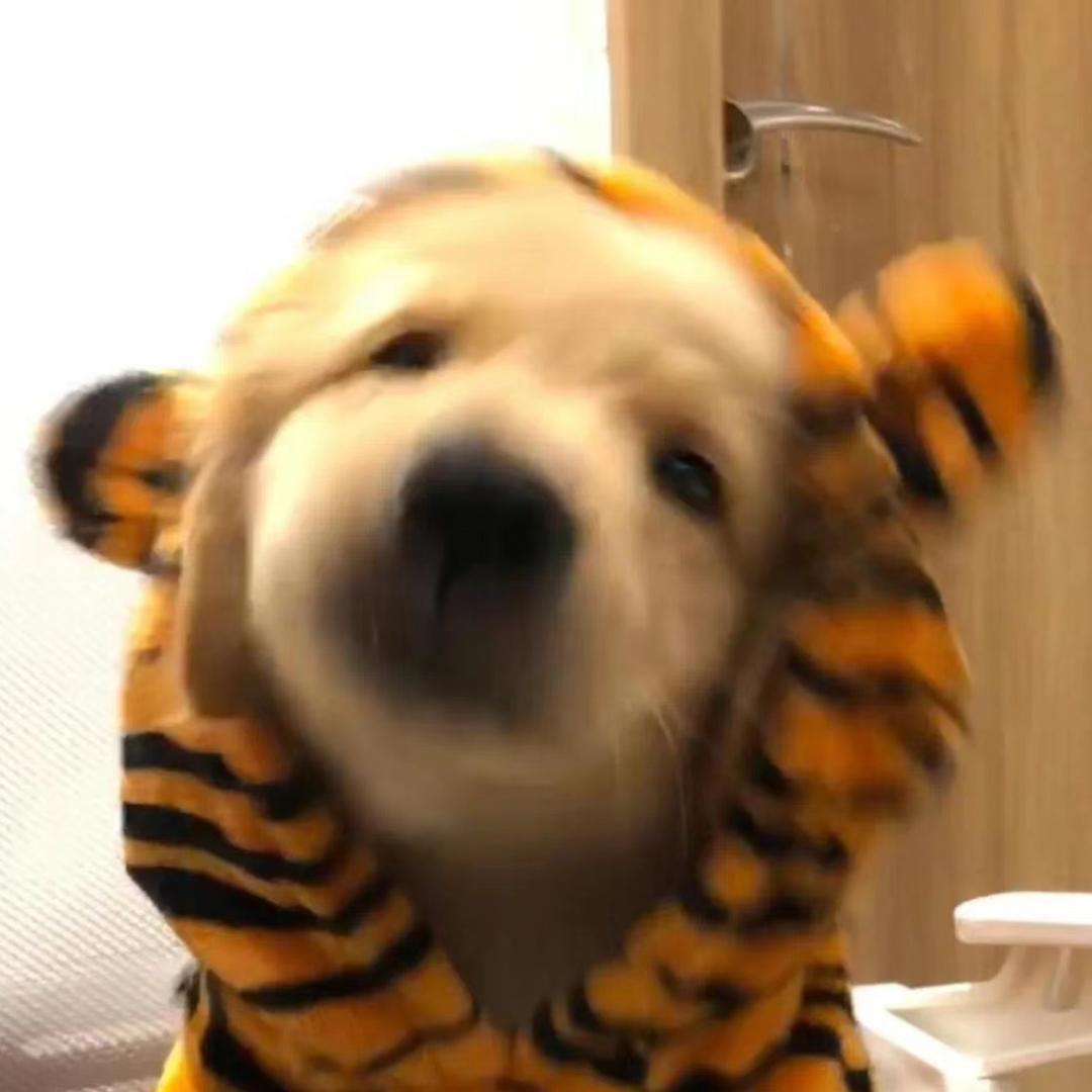 玉米大亨