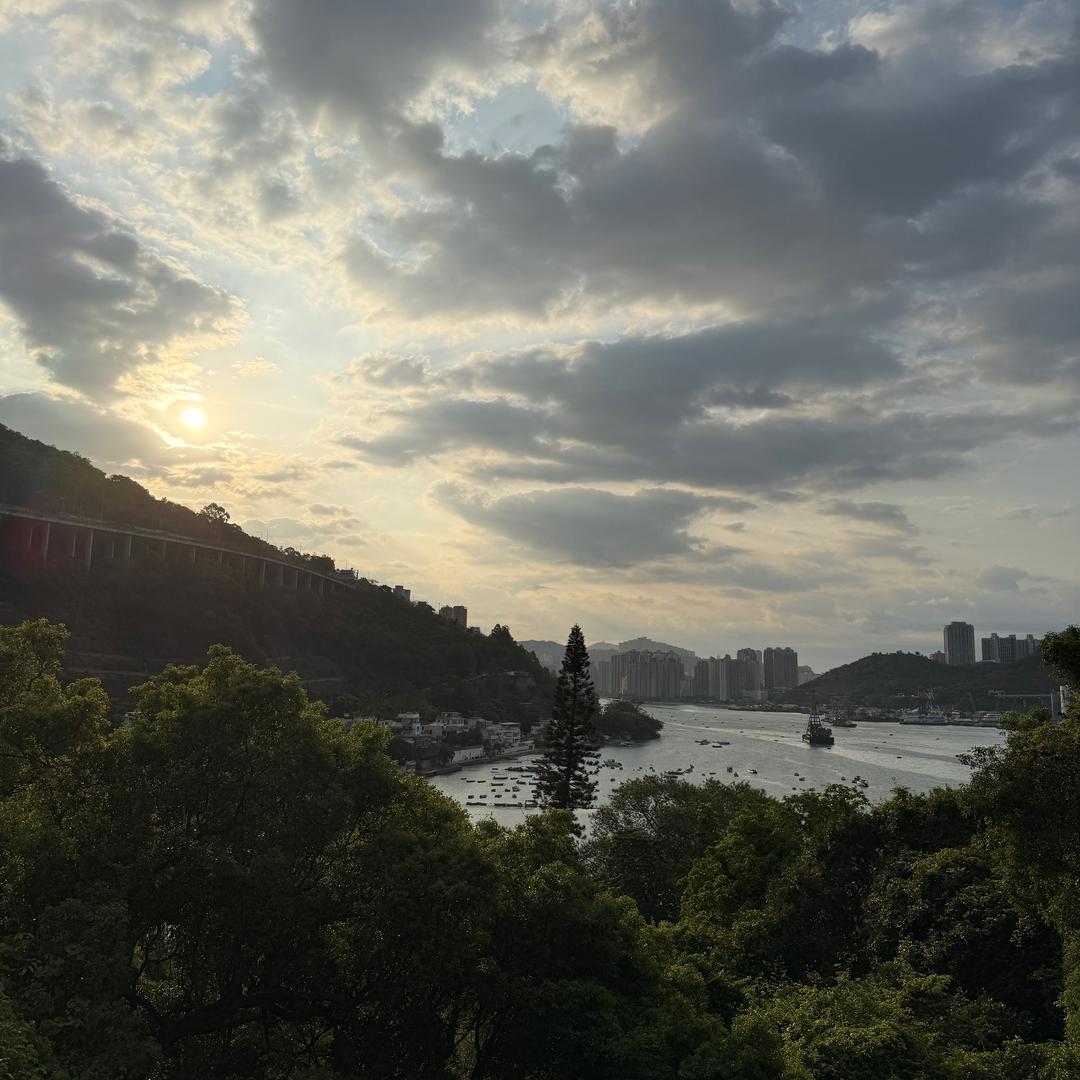 源双盈坚果