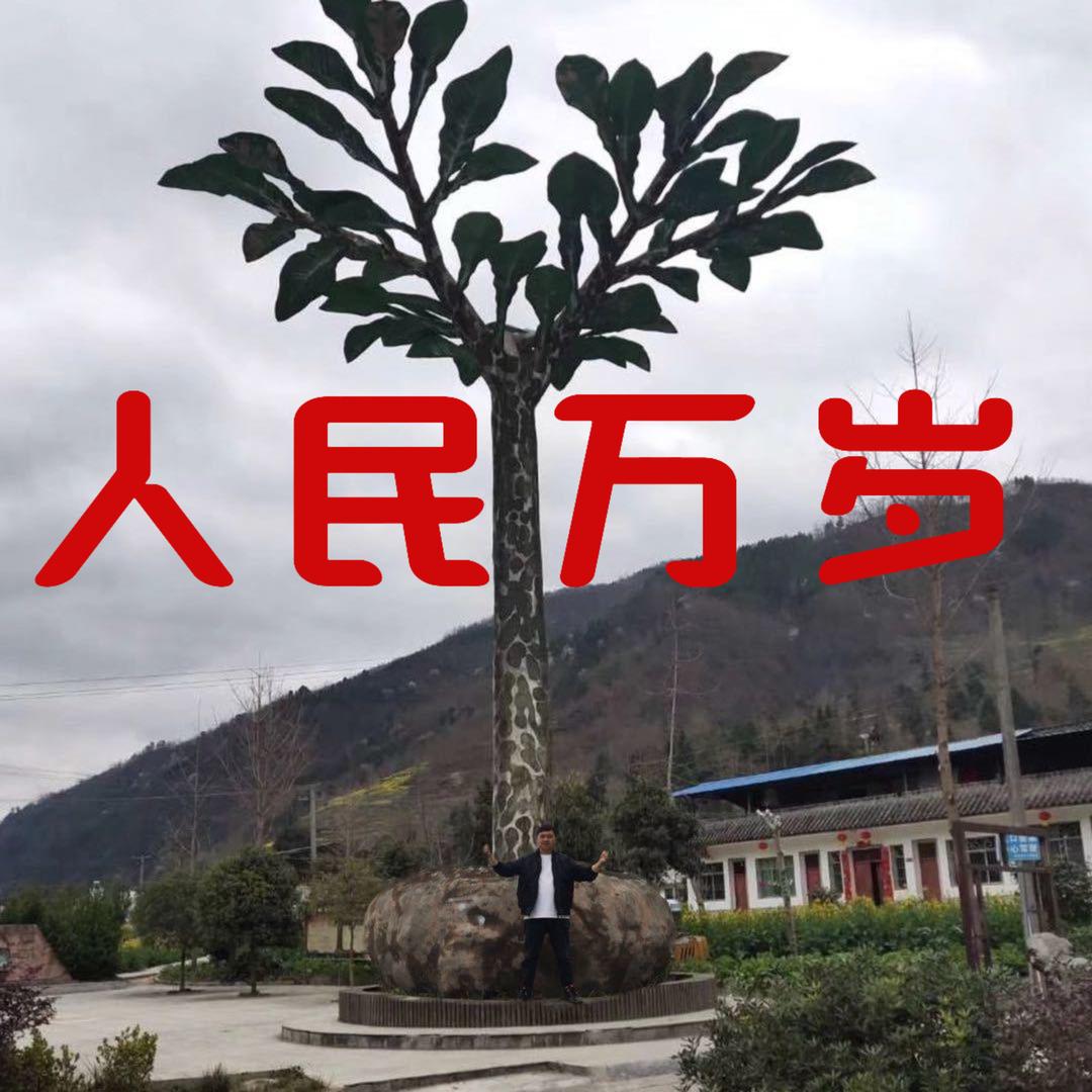 四川魔芋田圆